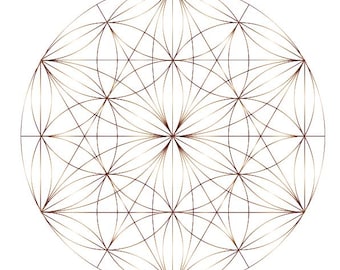 May include: A geometric design featuring a complex pattern of intersecting lines forming a flower of life symbol. The design is in shades of brown against a white background. The image includes text at the bottom: "HALELUYA Sacred Soul Art" and "zebratoys".