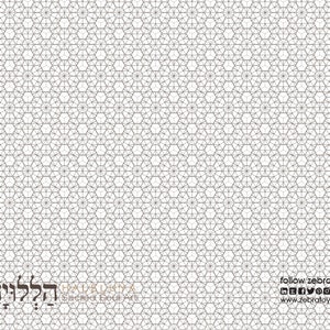 Puede incluir: Un fondo blanco con un patrón geométrico de líneas negras que forman un diseño hexagonal repetitivo. El texto "HALAL ART" y "Sacred Soul Art" está en la parte inferior de la imagen. El texto "follow zebratoy" y "www.zebratoy.net" está en la parte inferior derecha de la imagen.