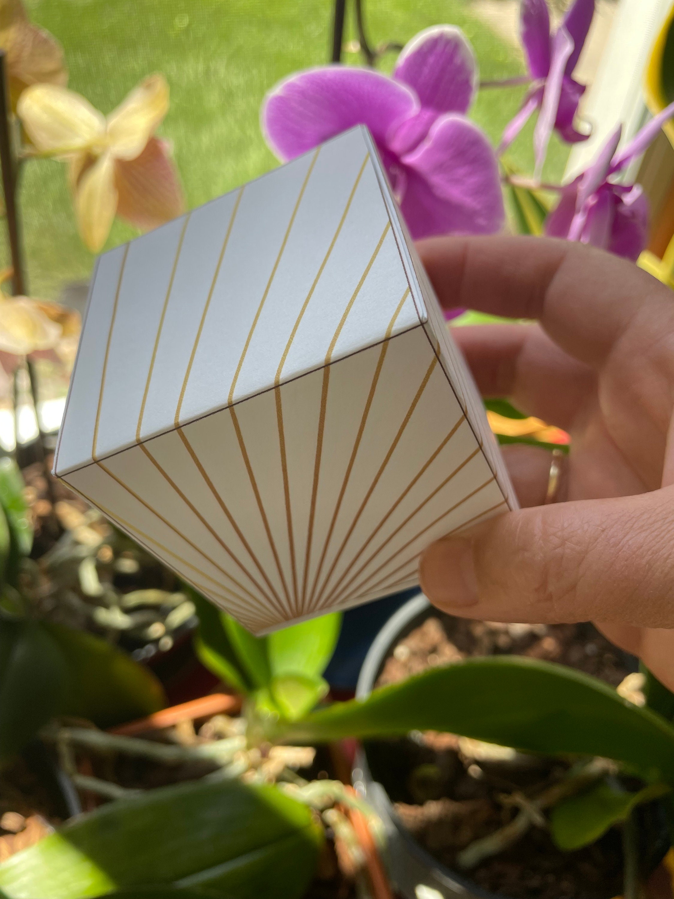 Hexahedron 3D Cube Papercraft Template Pdf-gold Platonic Solids ...