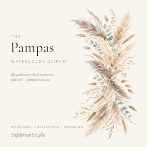 May include: A digital graphic featuring watercolor pampas grass, dried wheat, and eucalyptus leaves in beige, brown, and sage green tones. Text reads: THE Pampas WATERCOLOR CLIPART, 20 watercolor PNG elements, 300 DPI, commercial use, WEDDINGS, INVITATIONS, BRANDING, SoftBrushStudio.