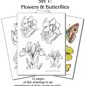Printed Wood Burning Pyropaper Butterflies and Flowers (Set 1) for woodburning on most surfaces. Wood, gourds, leather, eggs and more.
