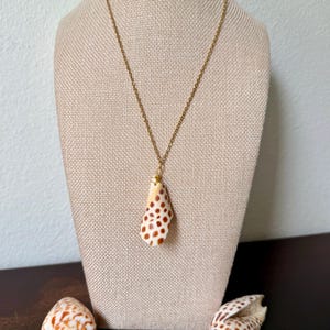 May include: A gold-toned metal chain necklace featuring a pendant made from a natural cone-shaped seashell with a cream-colored base and brown spotted markings. Two additional matching spotted seashells are positioned at the base of the display.