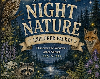 May include: A rectangular print titled Night Nature Explorer Packet featuring a dark forest scene with a full moon, an owl, a bat, a fox, a raccoon, a frog, and a moth. The text reads Night Nature Explorer Packet, Discover the Wonders After Sunset, and Two Songbirds Wander.