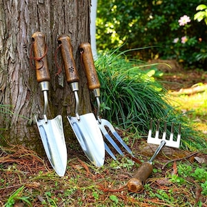 May include: A set of four gardening tools featuring polished silver metal heads and dark brown wooden handles. Three tools are upright against a tree trunk, each engraved with the name Jennifer and a unique icon: a crown, a paw print, and hearts.