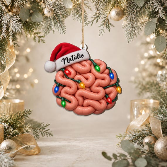 A personalized small intestine Christmas ornament — absurdly niche, instantly gifted to every gastroenterologist you know, and genuinely funny.