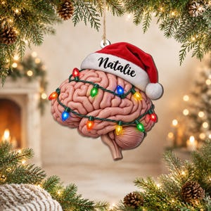Personlig julgransprydnad för hjärnan, anpassningsbart namn för anatomi, julklapp för neurolog, neurovetenskapsstudentdekor
