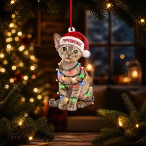 PERSONALIZABLE Devon Rex Christmas Ornament, CUSTOMIZABLE Acrylic Cat Ornament, Custom Name Pet Lover Gift, Holiday Keepsake For Family