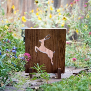 Antelope Record Holder Vinyl Display Vermont Phish Antelope!!! FREE SHIPPING!!!