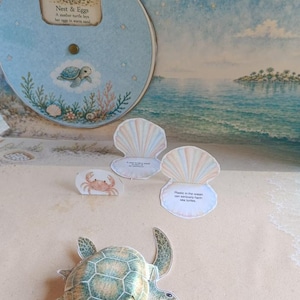 May include: A paper craft set featuring a green sea turtle, a small crab, and two open seashells with printed text. A circular card displays a nest of eggs and a turtle illustration. The scene includes a backdrop of a beach and ocean.