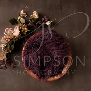 Newborn Digital Photography Background Baby Girl