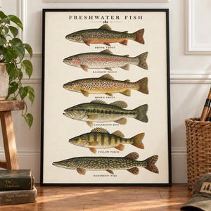 May include: A framed poster titled FRESHWATER FISH featuring detailed illustrations of six fish species: Brook Trout, Rainbow Trout, Brown Trout, Largemouth Bass, Yellow Perch, and Northern Pike, arranged vertically on a cream-colored background.