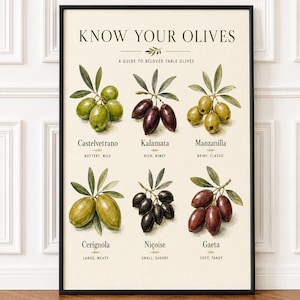 Könnte beinhalten: Ein gerahmtes Lehrplakat mit dem Titel KNOW YOUR OLIVES, A GUIDE TO BELOVED TABLE OLIVES. Es zeigt sechs detaillierte botanische Illustrationen von Olivensorten: Castelvetrano, Kalamata, Manzanilla, Cerignola, Niçoise und Gaeta, jeweils mit beschreibendem Text.