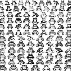 Könnte beinhalten: Eine Sammlung von schwarz-weißen Illustrationen, die verschiedene Froscharten in unterschiedlichen Posen und Ausrichtungen in einem Raster zeigen. Das Bild enthält eine einzelne Fischillustration inmitten der zahlreichen detaillierten Froschzeichnungen.