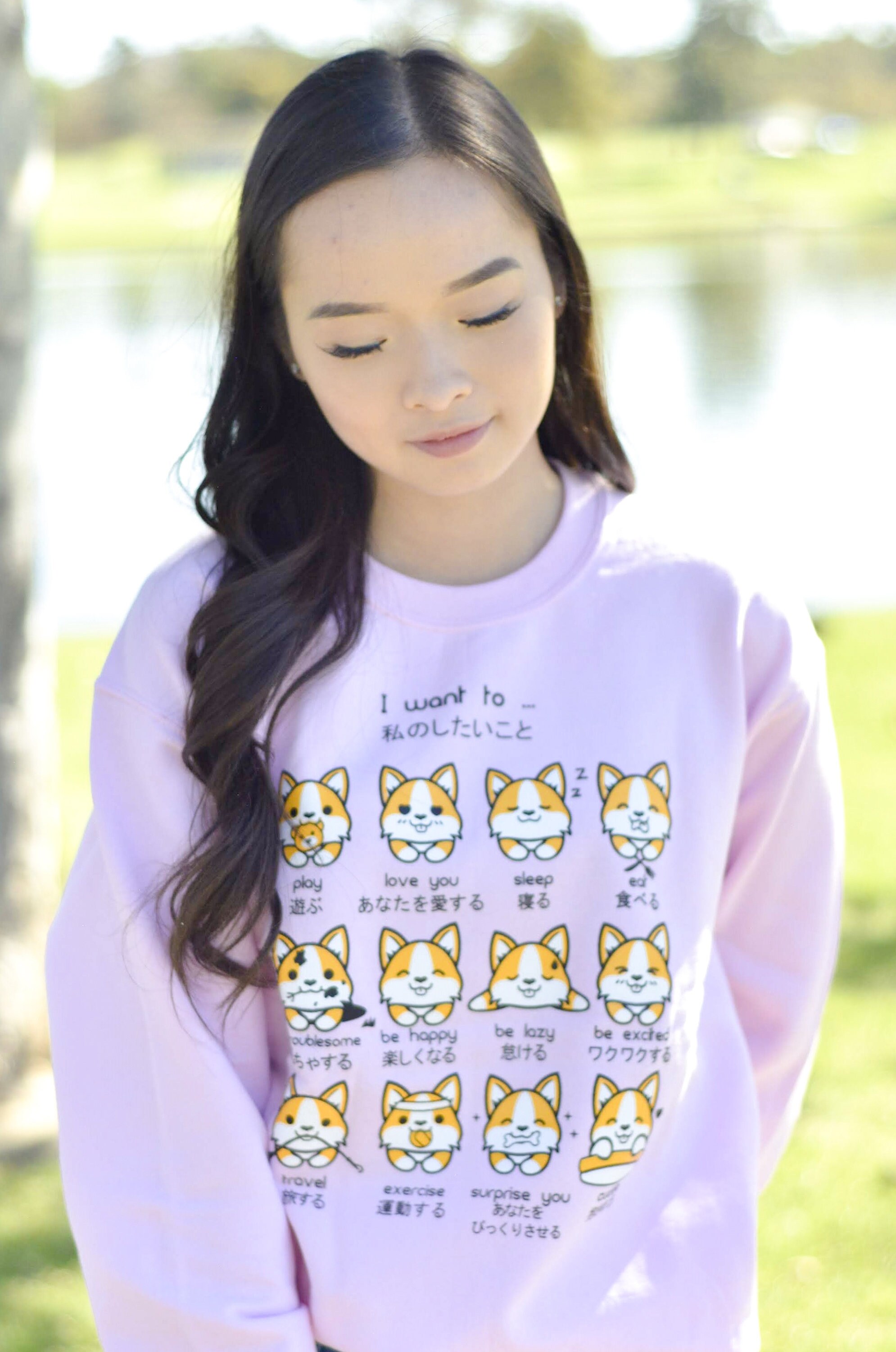 Japanese Welsh Corgi Emoticon Crewneck Sweater