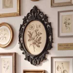Peut inclure: Un mur de galerie présentant un grand cadre ovale noir central avec des détails ornementaux en volutes entourant une illustration botanique de fleur. Les cadres environnants ont des finitions dorées, argentées et en bois.