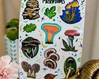 Mushrooms Sticker Pack | Vinyl Sticker | Fun Gift | Mushroom Stickers| Water Bottle Sticker | Laptop Decal | Mushroom Pack| Waterproof
