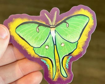 Luna Moth Sticker | Vinyl Sticker | Fun Gifts | Gift Sticker| Water Bottle Sticker | Laptop Decal | Cute Sticker | Waterproof | Butterfly