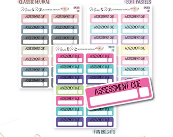 Assessment Due Planner Stickers, Assessment Stickers, Assessment Stickers, Erin Condren Planner Stickers, Happy Planner Stickers, SML058