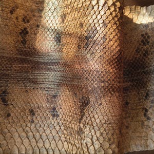 Genuine Snake Leather Hide Exotic leather for Craft Projects