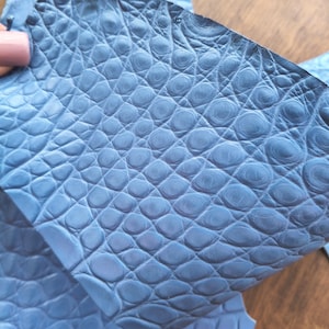 Blue Exotic Leather, Reptile Skin for Leathercraft, Lizard leather