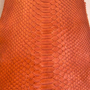 Genuine Snake Leather Hide Exotic leather for Craft Projects