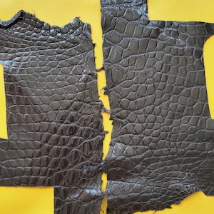 Juego de pieles exóticas de reptil negras: retales de piel auténtica para pequeños trabajos de marroquinería, carteras, correas de reloj y proyectos de bricolaje.