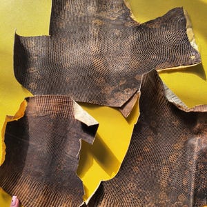 Op de afbeelding: Drie onregelmatige stukken gestructureerd leer met een donkerbruin en zwart slangenleerpatroon. Het materiaal heeft een duidelijk schubachtig oppervlak met een verloop van donkere tinten naar lichtere beige randen aan de onderkant.