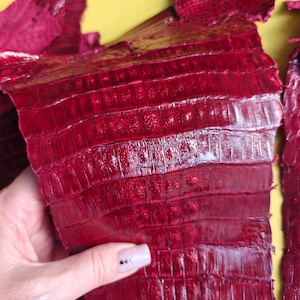 Könnte beinhalten: Ein Stück tiefrotes, glänzendes und strukturiertes Tierfell mit einem ausgeprägten, rechteckigen Schuppenmuster. Das Material hat eine glänzende, reflektierende Oberfläche und ist in einer flexiblen, geschichteten Anordnung dargestellt.