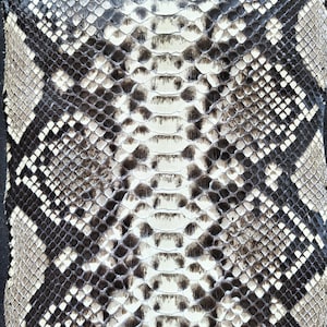 Genuine Snake Leather Hide for Craft Projects: White, Black, Gray Exotic Skin