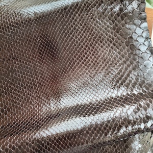 Genuine Dark Brown Snake Leather Hide for Craft Projects, Exotic Scale Pattern