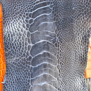 Puede incluir: Una piel de cuero de pata de avestruz gris oscuro que presenta una columna central distintiva de escamas grandes y rectangulares flanqueadas por escamas más pequeñas, redondeadas y similares a guijarros, con un patrón orgánico y texturizado.