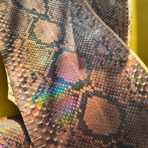 Piel de serpiente auténtica para proyectos de manualidades, piel de reptil exótico para proyectos de bricolaje con piel de serpiente.