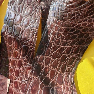 Puede incluir: Un trozo de cuero marrón oscuro con una textura de piel de cocodrilo brillante, prominente y en relieve. El material presenta un patrón repetitivo de grandes escamas ovaladas separadas por una red fina y compleja de líneas marrón claro.