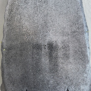 Genuine Stingray Leather Exotic Skin for Handmade Crafts