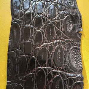 Black Exotic Leather Strips, Reptile Skin for Leathercraft, Lizard leather