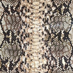 Genuine Snake Leather Hide Exotic leather for Craft Projects Snakeskin Leather