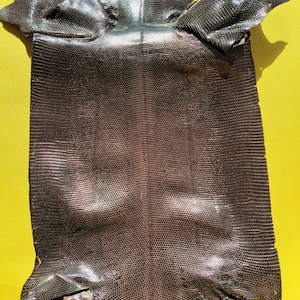 Puede incluir: Una piel de lagarto de color marrón oscuro con acabado metálico que presenta un patrón de escamas denso y uniforme en toda su superficie. La piel muestra un brillo reflectante y tiene una forma orgánica irregular con bordes texturizados.