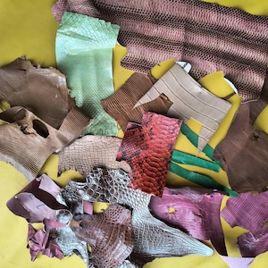 Puede incluir: Una colección de retazos de cuero variados con diferentes texturas y colores, incluyendo rojo, verde, marrón, beige y morado. Las piezas presentan patrones distintivos de escamas, acabados lisos y formas irregulares de diversos tamaños.
