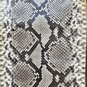 Genuine Snake Leather Hide for Craft Projects – Milk & Black Exotic Skin
