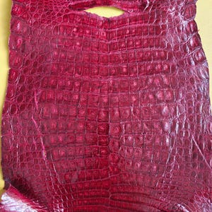 May include: A deep red, glossy crocodile skin hide featuring a distinct, raised scale pattern across the entire surface. The material has a reflective, metallic sheen and an irregular, organic shape with a small cutout near the top edge.