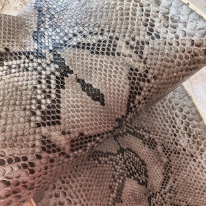 Genuine Snake Leather Hide for Craft Projects, Exotic reptile skin for DIY  Snakeskin, Gray Snakeskin