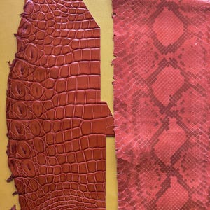 Juego de pieles exóticas de reptil de color naranja: retales de piel auténtica para pequeños trabajos de marroquinería, carteras, correas de reloj y proyectos de bricolaje.