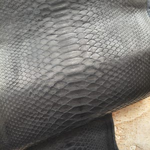 May include: A black snakeskin hide featuring a prominent central row of large, elongated scales flanked by smaller, textured scales. A portion of a measuring tape is visible at the bottom right, showing a measurement of 9 inches.