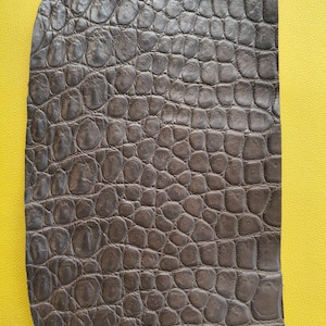 Pieza de piel de reptil exótica auténtica – Piel suave color marrón nicotina para carteras, tarjeteros, correas e incrustaciones, piel exótica