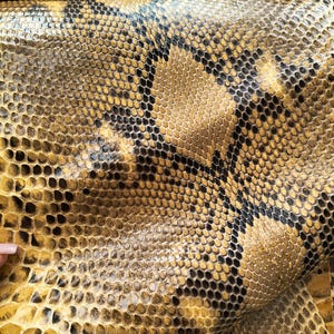 May include: A sheet of textured material featuring a repeating pattern of small, overlapping scales in shades of golden yellow, tan, and black. The surface displays a distinct, organic grid-like structure with varying color intensity throughout.