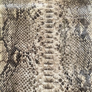 Genuine Snake Leather Hide Exotic leather for Craft Projects