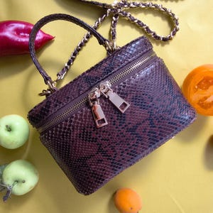 Snakeskin Crossbody Bag in Brown, Handmade Luxury Burgundy Snake Leather Handbag, Genuine python skin Vanity Box Purse