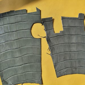 Green Reptile Leather Remnants for Watch Straps, Cardholders, DIY Projects