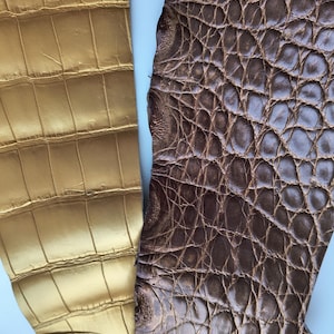 Exotic Reptile Leather Remnants for Watch Straps, Cardholders, DIY Projects, Exotic skin, 2 Pieces