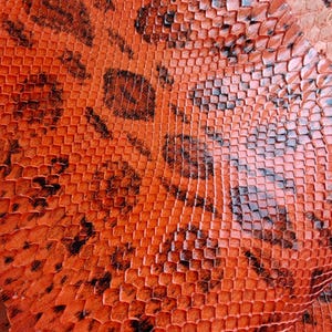 Orange Snake Leather Hide for Craft Projects – Genuine Exotic for DIY